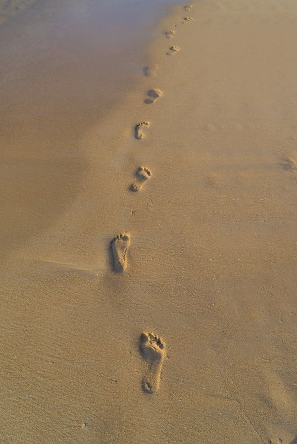 Unlocking Sail Away Adventures: How to Choose a Norfolk Broads Holiday Rental with Sailing Boat Rentals